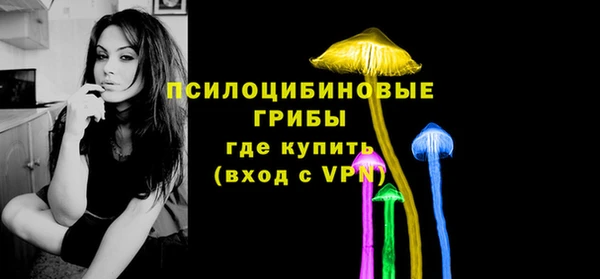 соль курить ск Алзамай