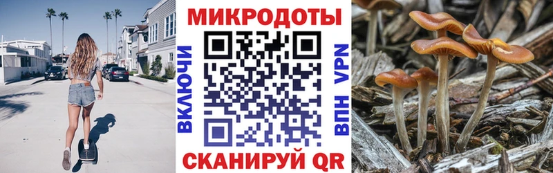Галлюциногенные грибы Cubensis  Юхнов 